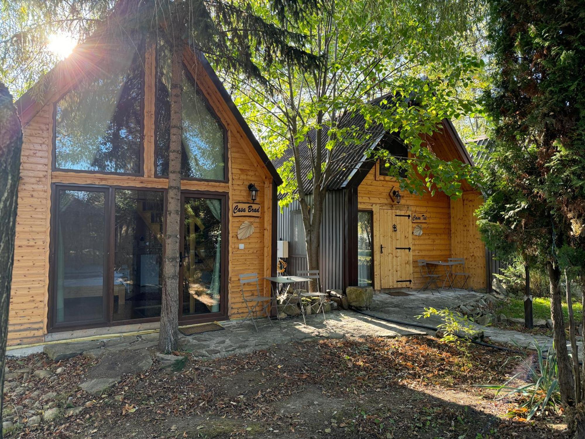 Conacul Lui Patrick Hotel Poenari Exterior photo